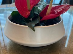 -上海总会SHANGHAICLUB(兴业太古汇店)