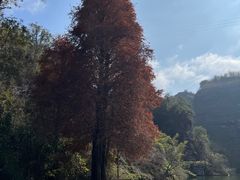 -丹霞山风景名胜区