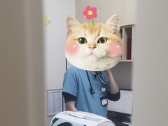 -美联众合爱康动物医院•复杂内科•肿瘤科•牙科•腔镜诊疗中心