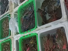 -外伶仃岛海鲜市场