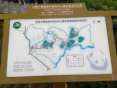 -中国大熊猫保护研究中心雅安碧峰峡基地