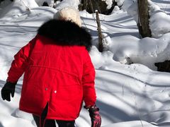 -雪谷