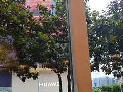 -西点坊(浦东香格里拉店)