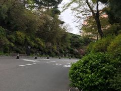 -新罗免税店(首尔总店)