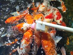 -太平洋海底世界