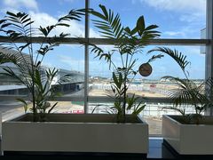 -班达拉奈克国际机场