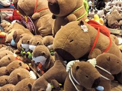 -TheGreenParty(槐房万达店)