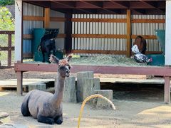-可伦宾野生动物保护区