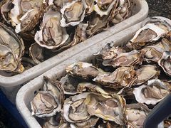 -蚝抵食·湛江生蚝(湾北路店)