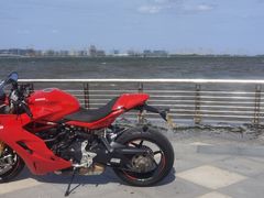 -春花秋色城市公园