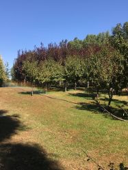 -大望京儿童游乐场