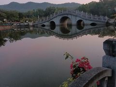 -大屏嶂森林公园