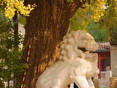 -北京石刻艺术博物馆(五塔寺)