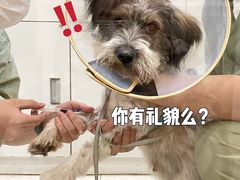 -萌兽医馆·眼科·异宠专科(三里屯店)