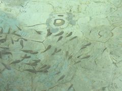 -崇阳三特浪口温泉