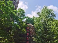 -汤旺河林海奇石景区