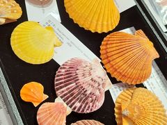 -摩登百货(岗顶店)