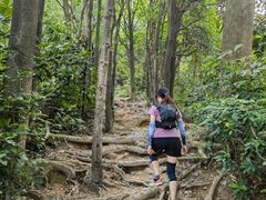 -火炉山森林公园