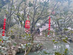 -天一阁博物院