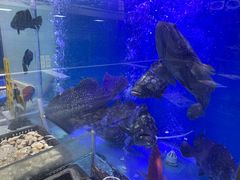 -红馆喜宴(十亩地店)