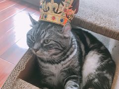 -伦敦塔