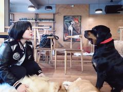 -萌喵咖啡屋(人民东路4号口M16商铺店)