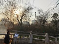 -西安市长乐公园