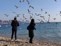 -泊石湾海滨浴场