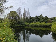 -上海滨江森林公园