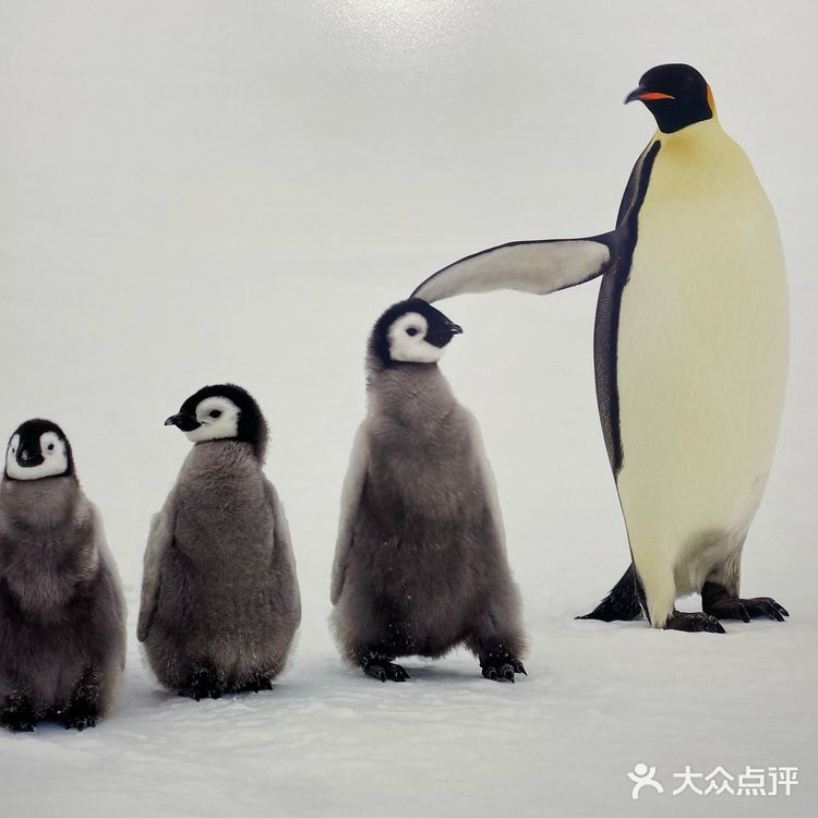 朋友圈被问爆了的氛围感下午茶☕️