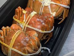-黄记大闸蟹专卖店·活蟹·醉蟹