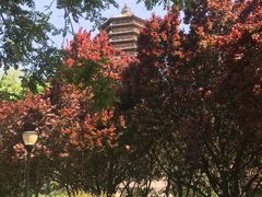 -玲珑塔公园