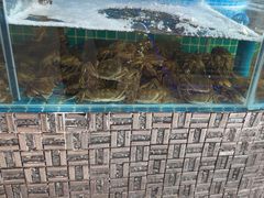 -蓝珊甄选海鲜自助·火锅大排档(近阿那亚店)