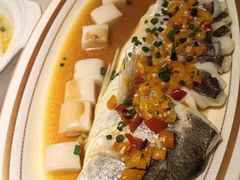 海鲈鱼烧年糕-徽韵人家·传承正宗徽菜(牡丹园店)
