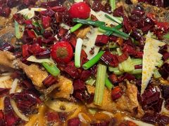 -老板恋上鱼(恒隆广场店)