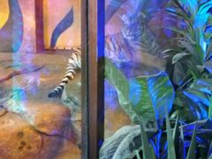 -皇家极地海洋世界-售票处