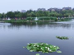 -前关湿地公园