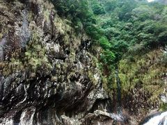 -龙湾潭国家森林公园