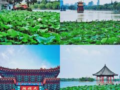 -济南大明湖景区