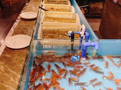 -星伦多 自助料理(圆融店)