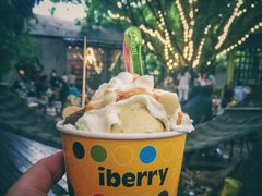 IBERRY-莓园冰淇淋店