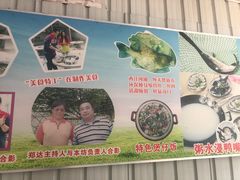 -鸿渡渔庄·特色鸭咀鱼