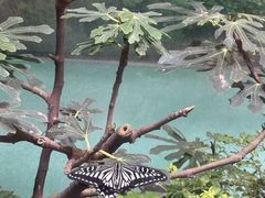 -上海大自然野生昆虫馆(东方明珠·爬宠昆虫探索中心)