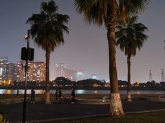 -金沙湖公园