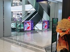 -红星美凯龙(浦江店)
