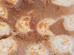 -葛记焖饼(伏牛路店)