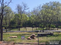 -秦皇岛野生动物园