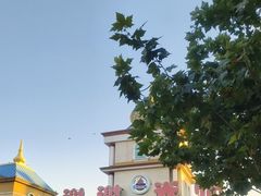 -青岛方特梦幻王国