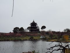 -上海海湾国家森林公园