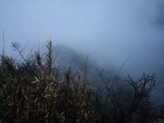 -洛阳白云山景区